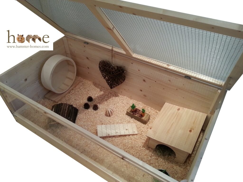 Hedgehog Home with Perspex front