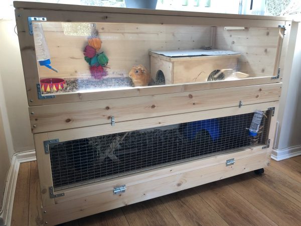Pet Home Customisation: Perspex Front on upper tier - Image 2