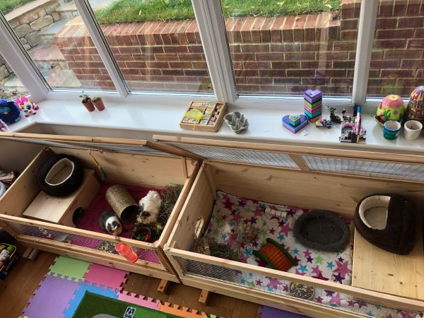 Pet Home Customisation: Side Access Door - Image 4