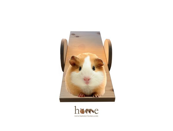 Large Wooden Seesaw for Guinea Pigs 40x17cm - Image 3