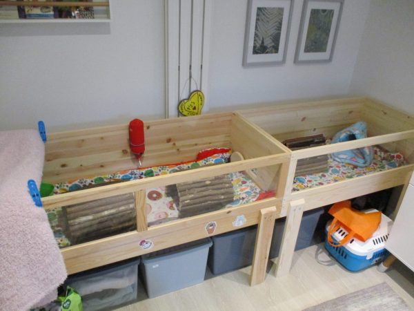 Pet Home Customisation: Side Access Door - Image 3