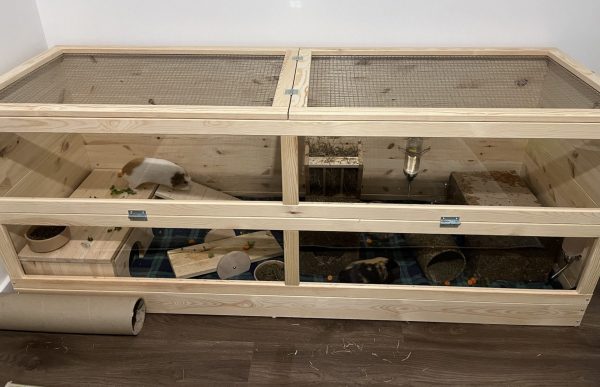 Wall Height Extension Unit in 4 standard sizes - Image 5