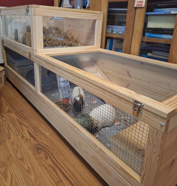 Guinea Pig Loft Extension 90x60x30cm with Access Hole + Ladder - Image 4